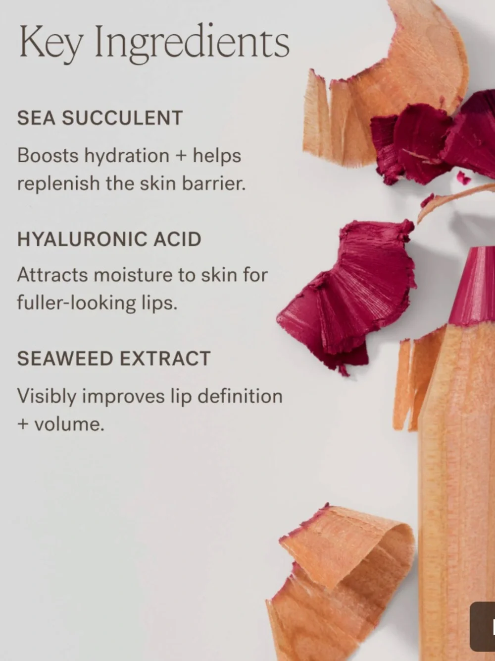 ILIA Piazza Lip Sketch Hydrating Crayon Lip Pencil
